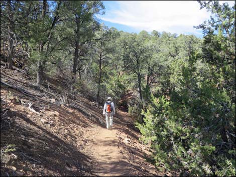 Lovell Canyon Trail