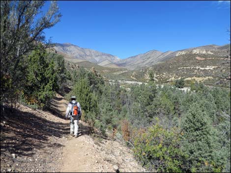 Lovell Canyon Trail