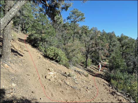 Lovell Canyon Trail