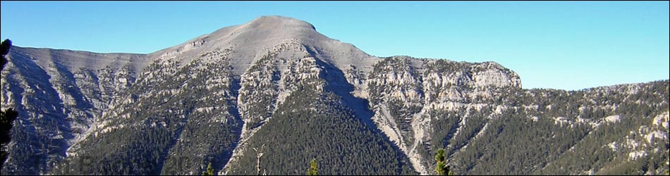 Mt. Charleston via North Loop Trail