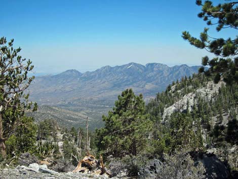 North Loop Viewpoint