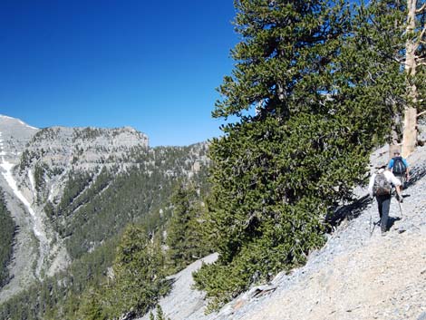 North Loop Trail -- North Ridge