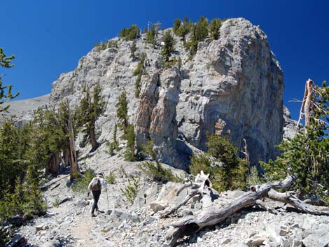 Mt Charleston, East Face