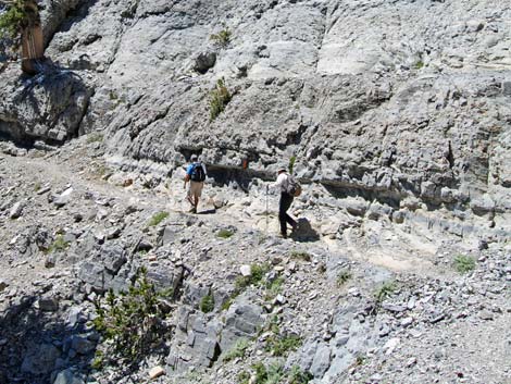 Mt Charleston, East Face