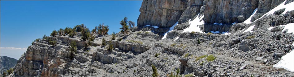 Mt Charleston, East Face