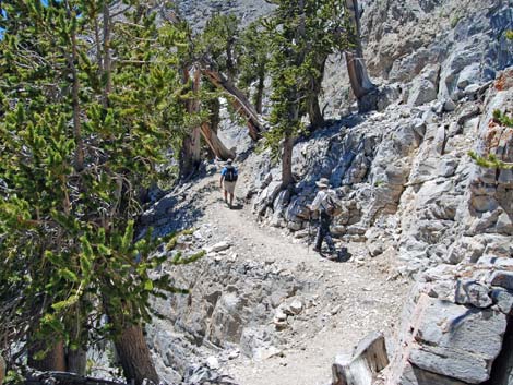 Mt Charleston, East Face