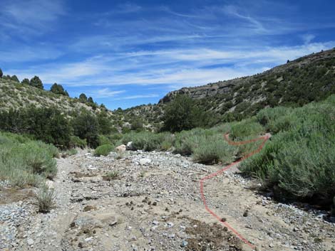 Escarpment Trail