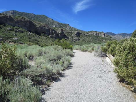 Escarpment Trail