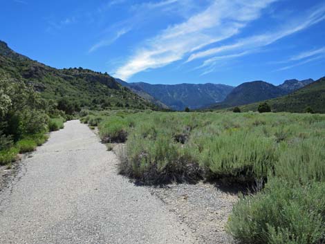 Escarpment Trail