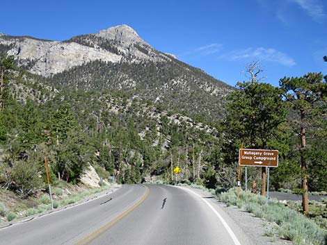 Deer Creek Road