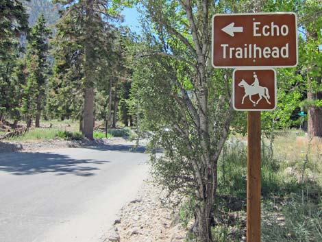 Echo Road