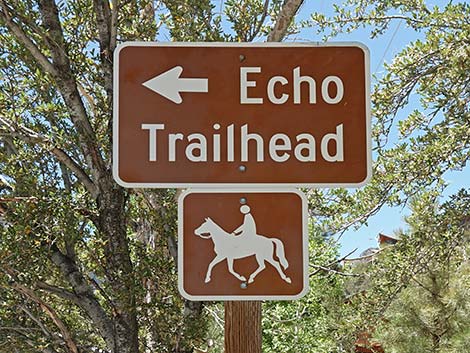 Echo Road