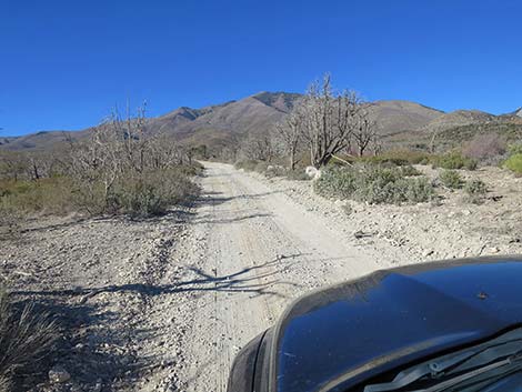 Harris Mountain Road