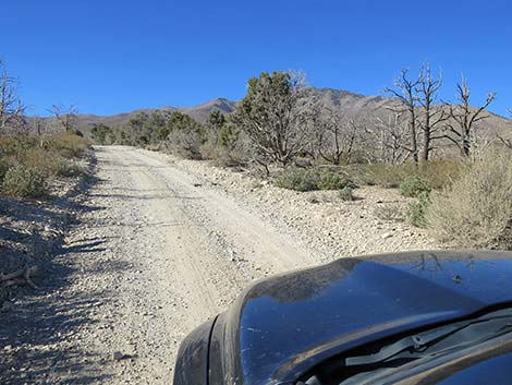 Harris Mountain Road