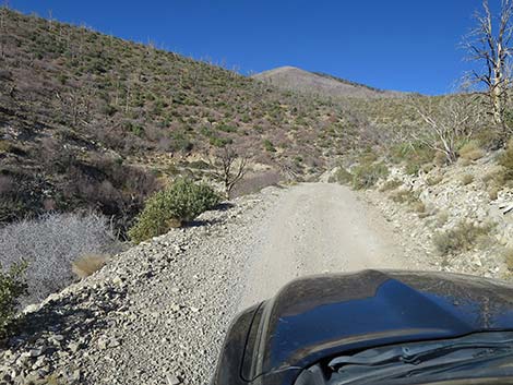 Harris Mountain Road