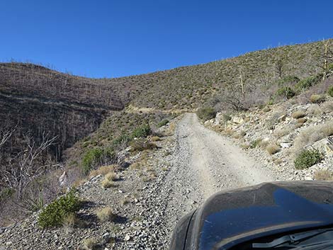 Harris Mountain Road