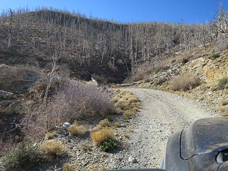 Harris Mountain Road