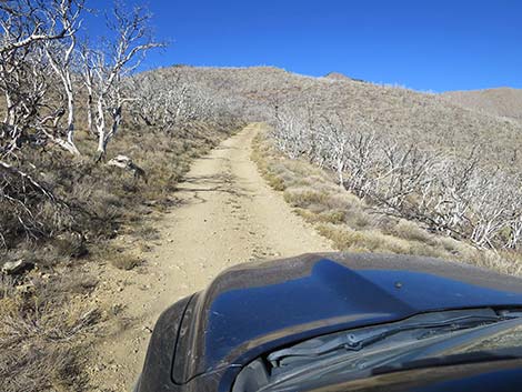 Harris Mountain Road