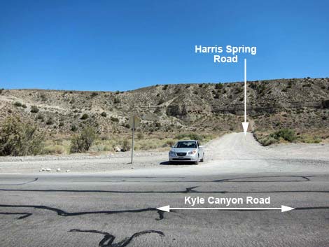 Harris Spring Road