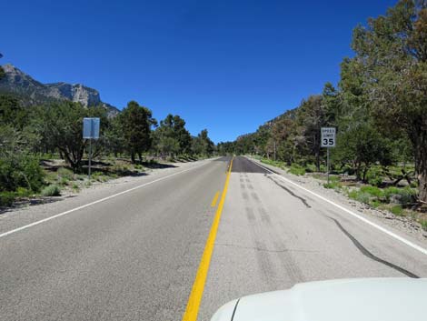 Lee Canyon Road