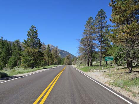 Lee Canyon Road