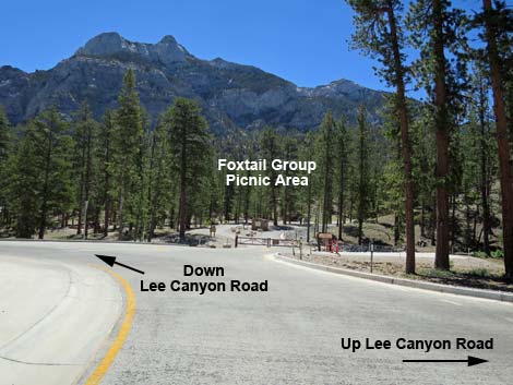 Lee Canyon Road