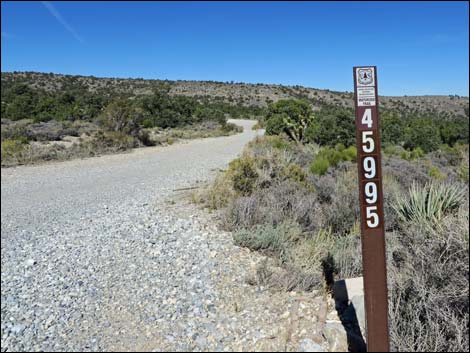 Gravel Pit Trailhead