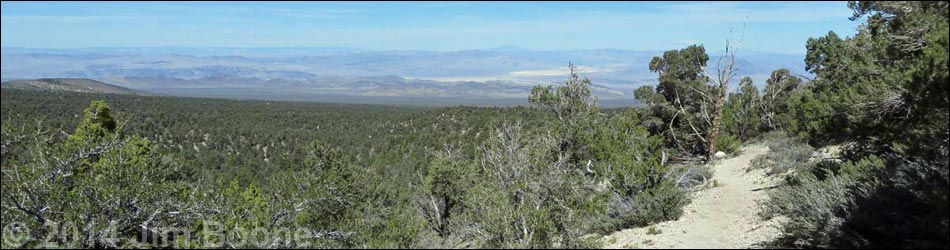 Big Sawmill Loop Trail