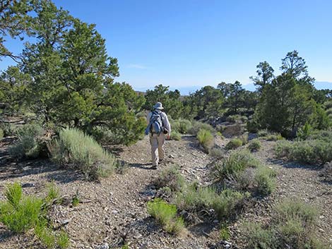 Rocky Gorge Loop Trail