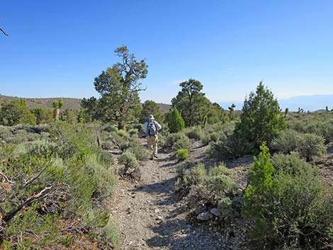 Rocky Gorge Loop Trail