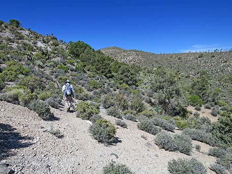 Rocky Gorge Loop Trail