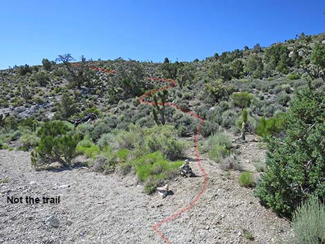 Rocky Gorge Loop Trail