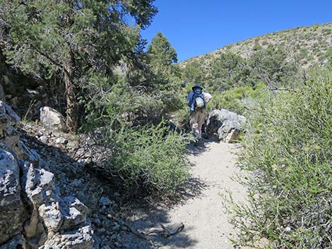 Rocky Gorge Loop Trail