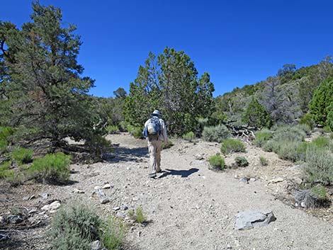 Rocky Gorge Loop Trail