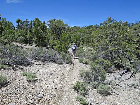 Rocky Gorge Loop Trail