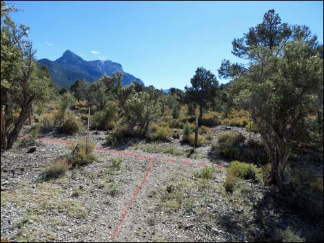 Sawmill Loop Trail