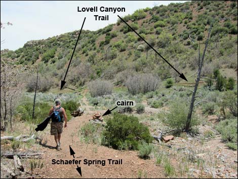 Schaerfer Spring Trail