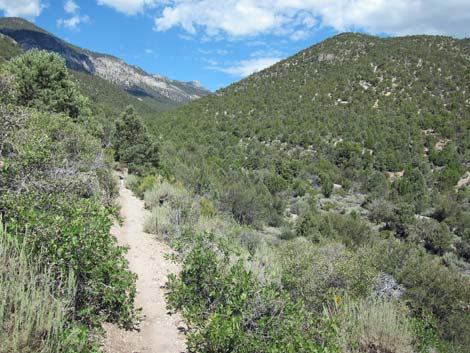 Lower Telephone Canyon Trail