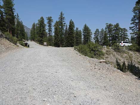 Lower Bristlecone Trailhead