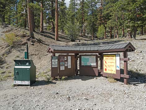 Bristlecone Trail Loop