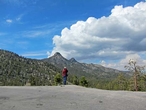 Upper Bristlecone Trailhead