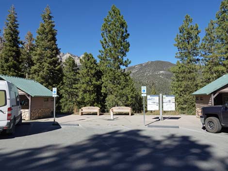 Cathedral Rock Trailhead