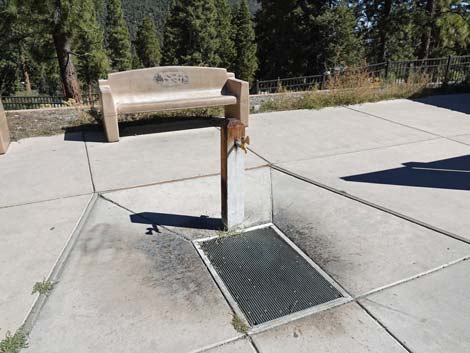 Cathedral Rock Trailhead