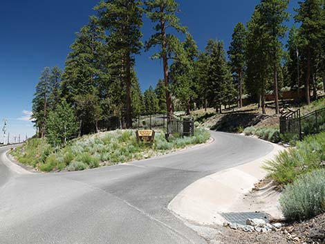 Cathedral Rock Trailhead