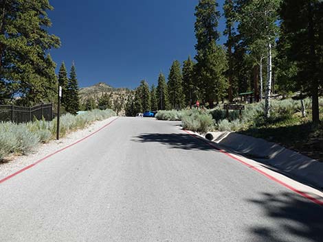 Cathedral Rock Trailhead