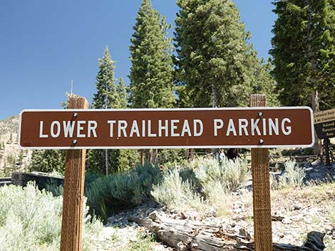 Cathedral Rock Trailhead