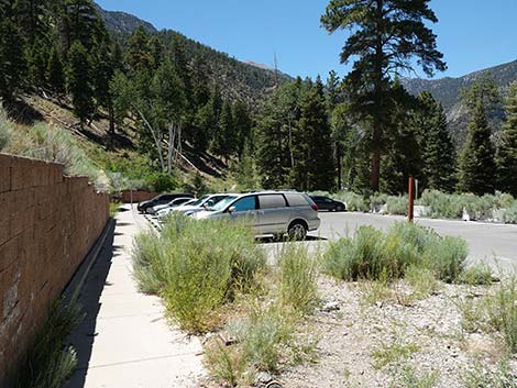 Cathedral Rock Trailhead