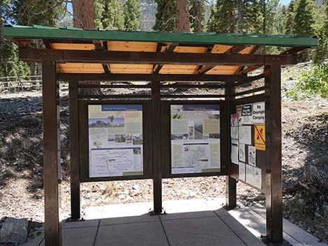 Cathedral Rock Trailhead