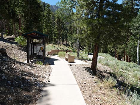 Cathedral Rock Trailhead