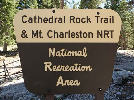 Cathedral Rock Trail